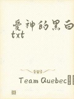 爱神的黑白羽翼txt