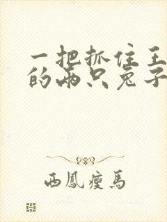 一把抓住王昭君的两只兔子