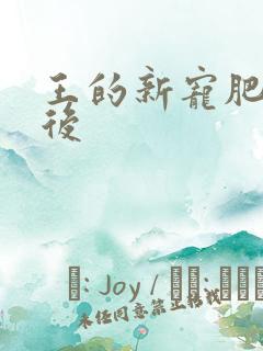 王的新宠肥婆皇后