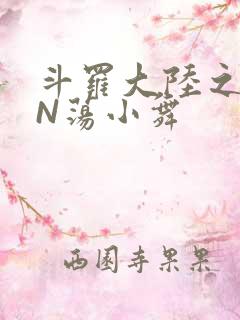 斗罗大陆之YIN荡小舞