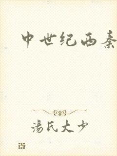 中世纪西秦帝国