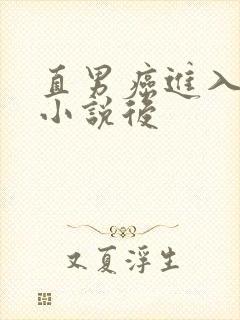 直男癌进入言情小说后