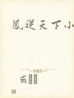 凤逆天下小说