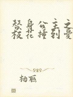 替身公主之杀手校花撞到爱