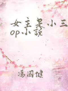 女主是小三的pop小说