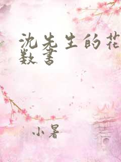 沈先生的花式调数书