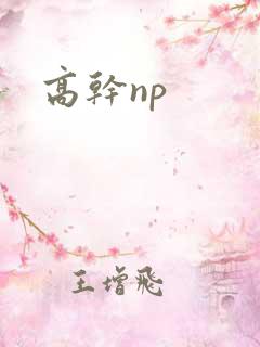 高干np