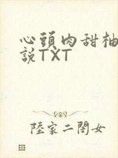 心头肉甜柚子小说TXT