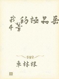 我的极品岳坶34章