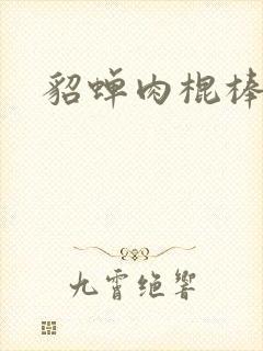 貂蝉肉棍棒小说