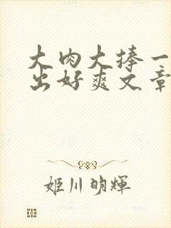 大肉大捧一进一出好爽文章