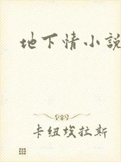 地下情小说
