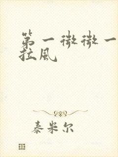 第一微微一笑很拉风