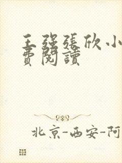 王强张欣小说免费阅读