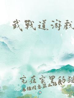 武战道游戏