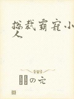 总裁霸宠小小女人