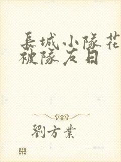 长城小队花木兰被队友日