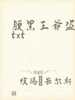 腹黑王爷盗墓妃txt