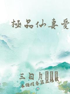 极品仙妻爱上我