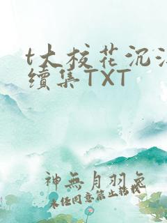 t大校花沉浮录续集TXT