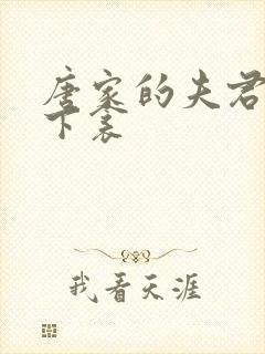 唐家的夫君们帘下衾