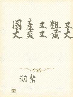 国产又粗又猛又大爽又黄大爷