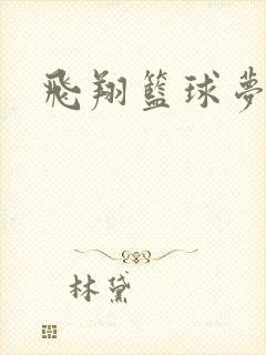 飞翔篮球梦下载