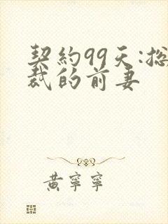 契约99天:总裁的前妻