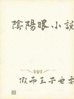 阴阳眼小说
