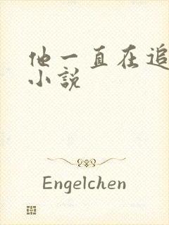 他一直在追初恋小说