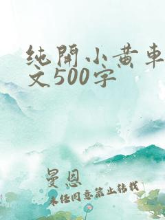 纯开小黄车小短文500字