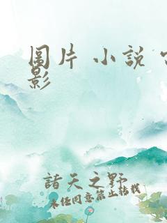 图片 小说 电影