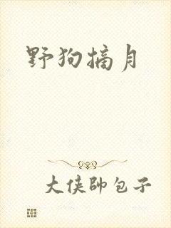 野狗摘月