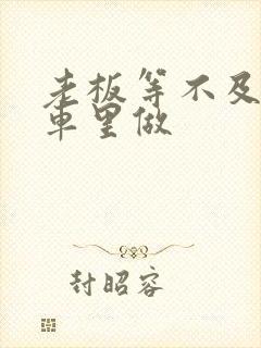 老板等不及了在车里做