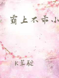 霸上不乖小逃妻