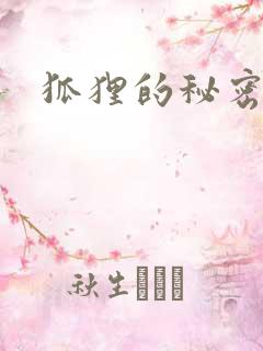 狐狸的秘密下载