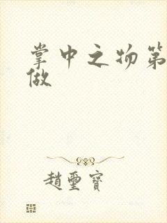 掌中之物第一次做