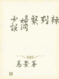 少妇系列辣文小说网