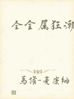 全金属狂潮小说