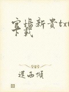 官场新贵txt下载