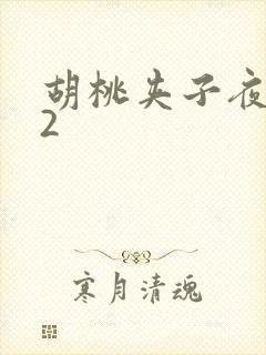 胡桃夹子夜未眠2