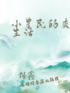 小农民的爽歪歪生活