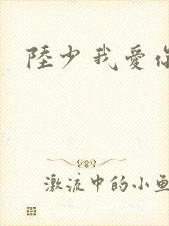 陆少 我爱你