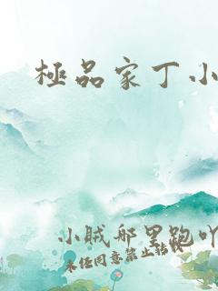 极品家丁小说