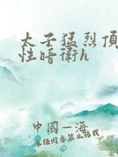 太子猛烈顶弄双性暗卫h