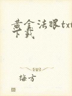 黄金法眼txt下载