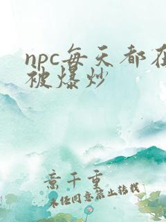npc每天都在被爆炒