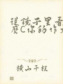 从镜子里看我怎么C你的作文