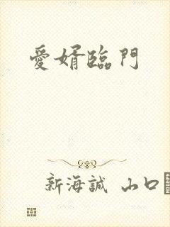 爱婿临门