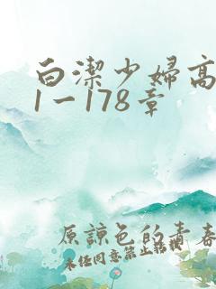白洁少妇高义第1一178章
